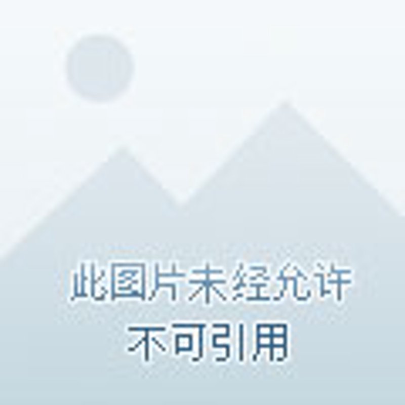 极度购联系方式