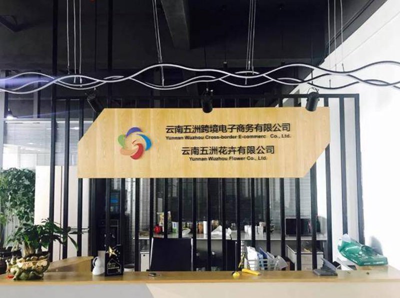 电子商务行业的新航标：极度购商城如何引领潮流？